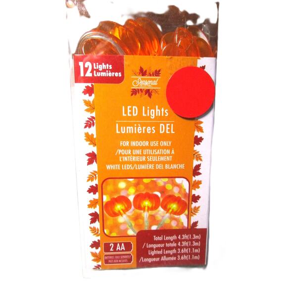 Seasonal Pumpkin LED String Lights 12 White LEDs Indoor Fall Décor 4.3ft Long - Picture 2 of 5